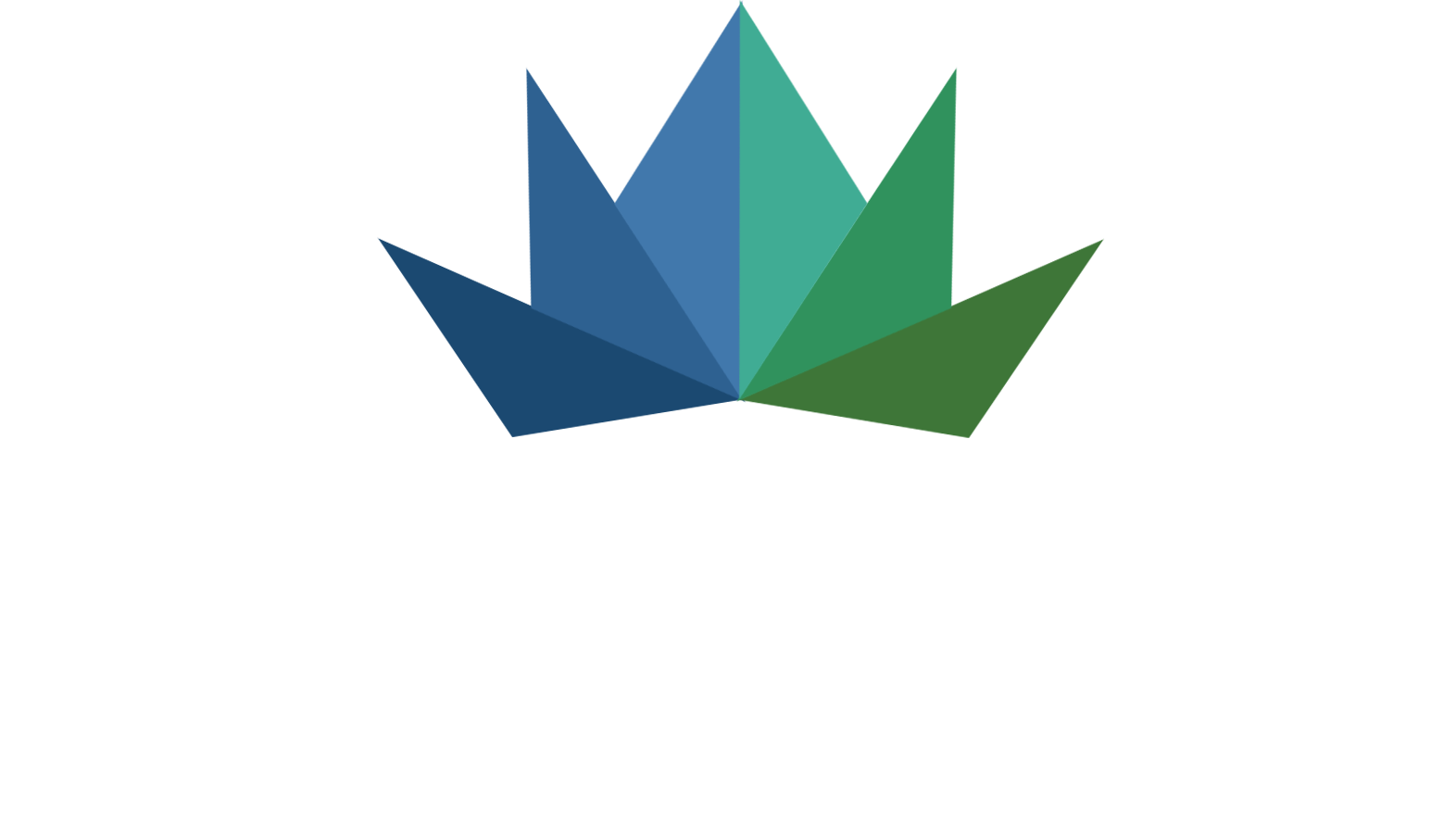 InnoLotus Software 芙蕖华软